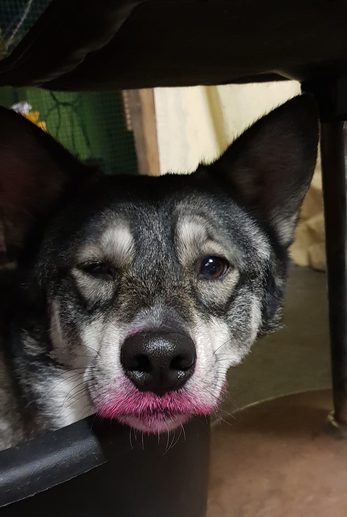 Timo-1.jpg
